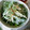 たった。's cooksnap of when they made もやしと水菜の粒マスタードマヨネーズ和え.