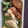 クックZ8J4H4☆'s cooksnap of when they made 鶏の唐揚げ 〜揚げ焼き.