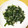 りょうくんママ☆'s cooksnap of when they made 栄養満タン ジャコとほうれん草の炒め物.