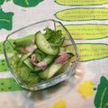 おはなすき's cooksnap of when they made 春☆レタスときゅうりのサラダ.