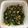 クックOFBFWX☆'s cooksnap of when they made 間引き大根とツナの炒め物.