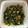 クックOFBFWX☆'s cooksnap of when they made 間引き大根とツナの炒め物.
