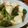低カロ探検隊's cooksnap of when they made ◆豆腐の簡単あんかけ◆.