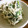 低カロ探検隊's cooksnap of when they made ほうれん草としめじの白和え.