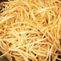 あかねちん（〃▽〃）'s cooksnap of when they made もやし炒め.