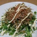 クックEGBTJL☆'s cooksnap of when they made かいわれ大根と鰹節のサラダ.