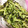 クックLGAQU1☆'s cooksnap of when they made 簡単時短♡きゅうりのゆかり塩昆布和え.