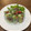 ろこちゃん0728's cooksnap of when they made 生春巻き 簡単 生ハム 具材 巻き方.
