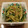 ダルシス's cooksnap of when they made 水菜ときゅうりのさっぱりごま和え.