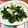 clover♡3's cooksnap of when they made 美味しい！節約！大根葉と皮のきんぴら.