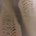 カンパーニュ♥'s cooksnap of when they made ☆たけのこの下処理☆.