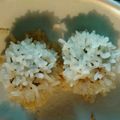 クッキングホチョ's cooksnap of when they made もち米肉団子.