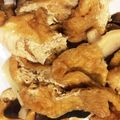 はに333's cooksnap of when they made 油あげと長ネギと茸の含ませ煮.