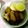 あらぐま's cooksnap of when they made 鶏と大根の煮物.