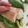 レモン マカロン's cooksnap of when they made 【マヨデリ】アボカドのオープンサンド.