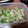 クック0T43KB☆'s cooksnap of when they made 簡単もう一品！もやぴー.