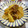 Haru Haru's cooksnap of when they made ご飯がすすむ！たけのこの牛肉炒め♪.