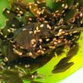 natsuたろう's cooksnap of when they made 昆布と鰹節のしっとりふりかけ.