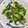 のりクックのり's cooksnap of when they made 簡単♪かぶの茎のめんつゆ合え.