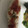かんじきんぐ's cooksnap of when they made 簡単☆ダイエットささみの梅ネギソースがけ.