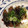 こっぴのまま's cooksnap of when they made 味噌だれ～矢場とん風.