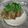 ☆じゅげむ☆彡's cooksnap of when they made 納豆嫌いな人も食べれる　納豆おろし豆腐.
