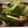 クックOLHMVY☆'s cooksnap of when they made 野菜たっぷり野菜炒め.