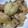 kaopomme♪'s cooksnap of when they made てりてり里芋と豚の煮っころがし.