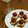 るるおか's cooksnap of when they made 簡単レアチーズケーキ✳レモンを添えて✳.
