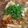 caribbeai's cooksnap of when they made 野菜たっぷりあら汁.