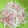 クックNP9ISV☆'s cooksnap of when they made 新たまねぎとハムのマリネ.