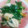 ばとランさん's cooksnap of when they made にらとちくわの簡単おひたし.