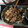 キャビィーママ's cooksnap of when they made 基本のしょうが焼き.