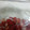 kinkinsan's cooksnap of when they made いちごの冷凍保存！.