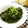 メルティローズ's cooksnap of when they made ほうれん草の砂糖醤油和え.