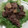 わいわいのオミチ's cooksnap of when they made 牛肉とレタスのオイスターソース炒め.