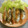 ☆Rokko☆'s cooksnap of when they made 揚げない鰆の竜田揚げ.