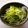 runa10's cooksnap of when they made サッパリ！水菜と塩ぽん酢の上品おひたし.