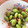 ﾂﾎﾞﾐ's cooksnap of when they made すぐ出来る☆桜えびと枝豆のおつまみ.
