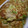 conn's cooksnap of when they made ネギと長いものフワフワチジミ.