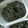 mai10200's cooksnap of when they made 湿気ったのりを救済！！のりの佃煮.