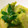 ﾐﾃｨ's cooksnap of when they made やっぱり食べたい筍木芽和え.
