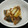 KAJIFFIN's cooksnap of when they made 鯵と焼き葱の甘辛炒め.