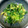 にじすき's cooksnap of when they made 青梗菜の生姜おひたし.