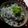 まぶたん's cooksnap of when they made しらす丼.