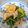クックM7OALN☆'s cooksnap of when they made 厚揚げとニンニクの芽の醤油炒め.