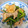 クックM7OALN☆'s cooksnap of when they made 厚揚げとニンニクの芽の醤油炒め.