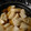 rikoko17's cooksnap of when they made 定番筍料理③ 筍の土佐煮.