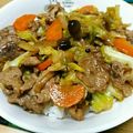 ayuteddy's cooksnap of when they made 【簡単】豚肉とキャベツのがっつり丼.