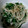kinkinsan's cooksnap of when they made 残り野菜で小鉢　ニラとエノキのおひたし.